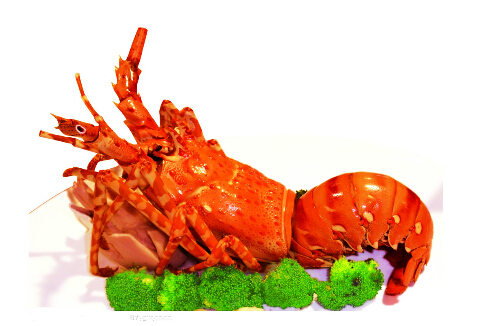 龍蝦有哪些功效和作用?龍蝦的營(yíng)養(yǎng)價(jià)值