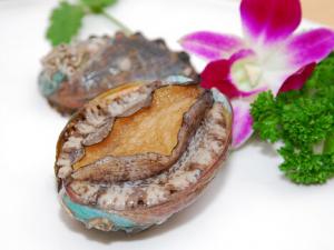 鮑魚如何挑選？鮑魚如何挑選