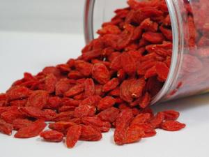 枸杞能提高性功能嗎？枸杞怎么吃壯陽？