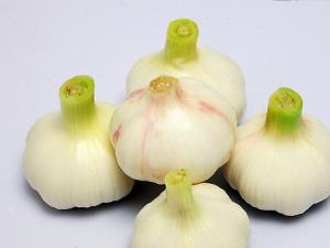 怎么吃大蒜才能有效預防癌癥？