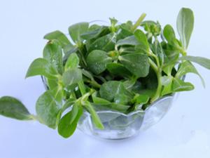 涼拌菜怎么吃才健康？吃涼拌菜最好放抗菌菜