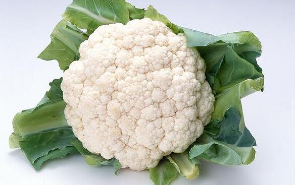 13種蔬菜治病
