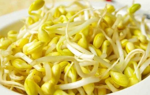 發(fā)芽的食物