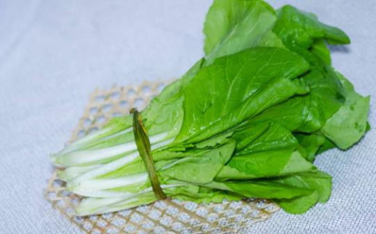 1、冬季吃小白菜.jpg