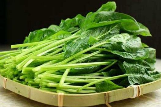 1、過(guò)量吃菠菜.jpg