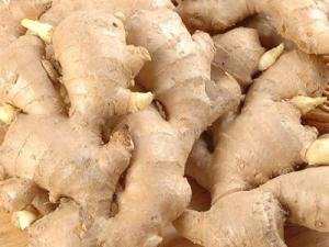 吃生姜的好處與壞處？為什么說冬吃蘿卜夏吃姜