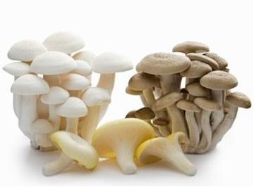 吃什么食物可以排毒?盤點(diǎn)食物中的清毒高手,菌類食物