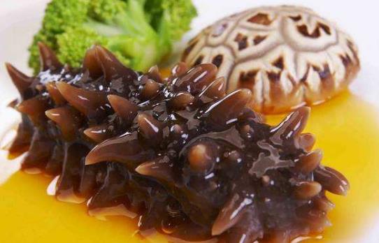 海參怎么吃最有營養(yǎng)?海參食用方法與禁忌