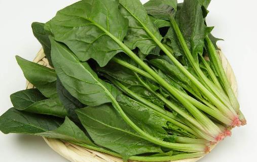 盤點(diǎn)四種冬季養(yǎng)生蔬菜 冬季養(yǎng)生水果有哪些