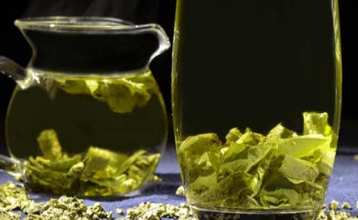 荷葉茶有哪些營養(yǎng)價(jià)值?荷葉茶有哪些副作用?