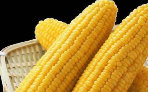 哺乳期可以吃玉米嗎?玉米有哪些作用?