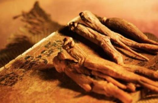 紅參什么時(shí)候吃最好?紅參有哪些作用?