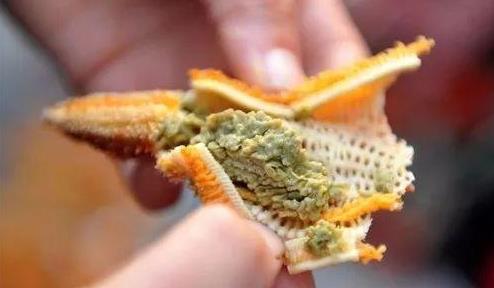 海星是蒸著吃還是煮著吃?吃海星的注意事項(xiàng)