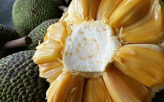 菠蘿蜜有哪些營養(yǎng)價值?哪些人不宜吃菠蘿蜜?