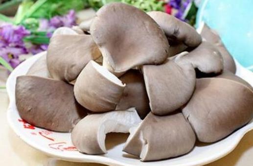 平菇隔夜怎么保存?平菇隔夜變黃能吃嗎