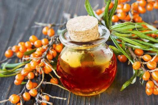 經(jīng)期可以喝沙棘茶嗎?沙棘茶對婦科病有作用嗎?