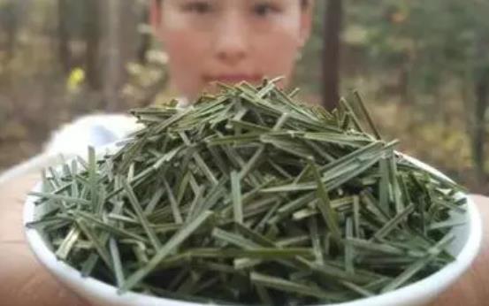 什么是全松茶?全松茶有哪些功效?