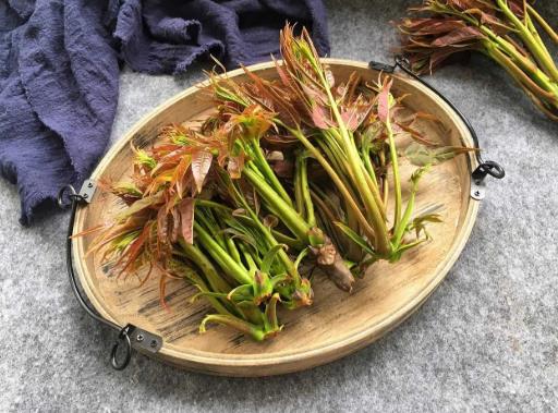 吃香椿有哪些壞處?吃香椿的正確方法