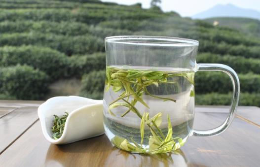 綠茶與紅茶有什么區(qū)別呢?綠茶與紅茶哪個(gè)比較好?