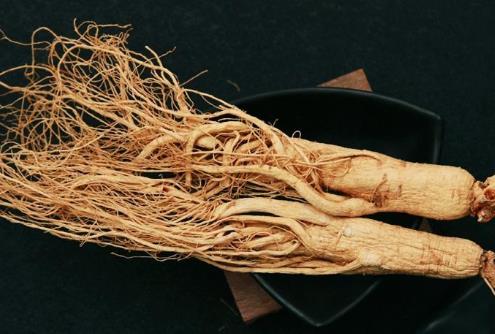 鮮人參可以生吃嗎?多大的孩子能喝人參湯?