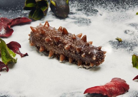 吃即食海參要注意什么事項(xiàng)?即食海參和干海參哪個(gè)好?