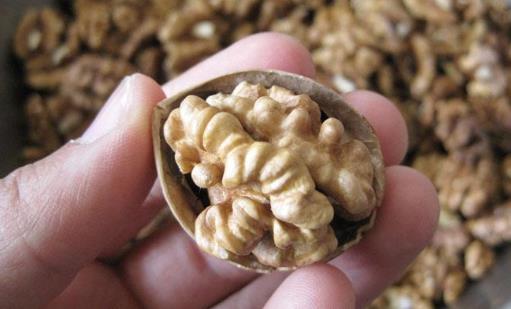 吃核桃有哪些藥用價值?核桃有哪些功效?