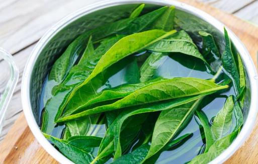 芝麻葉有哪些營養(yǎng)價(jià)值?芝麻葉有哪些作用?