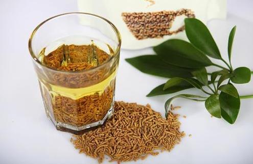 苦蕎和蕎麥有什么區(qū)別?晚上喝苦蕎茶會影響睡眠嗎?