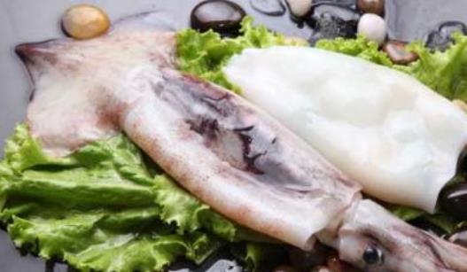 怎么清洗魷魚?吃魷魚有哪些好處?
