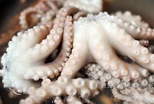 孕婦可以吃魷魚嗎?經(jīng)期可以吃魷魚嗎?