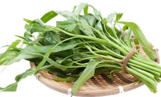 痛風(fēng)患者可以吃空心菜嗎?坐月子可以吃空心菜嗎?