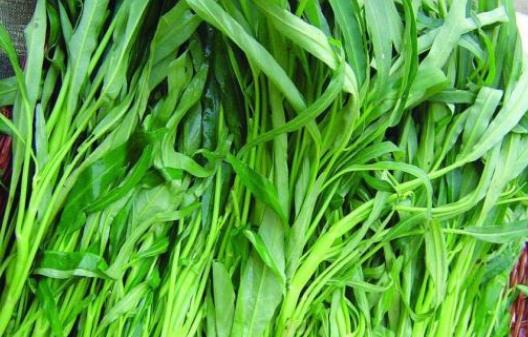 吃空心菜會影響鈣的吸收嗎?空心菜炒出來為什么會發(fā)黑?