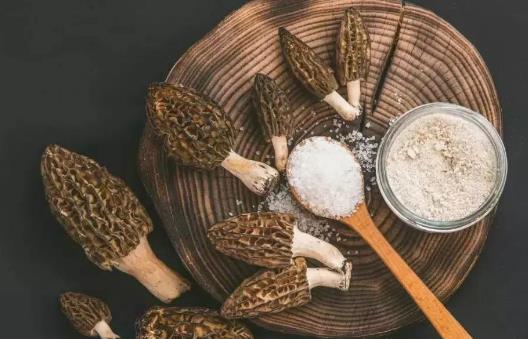 高血壓患者可以吃羊肚菌嗎?羊肚菌不宜和什么東西一起吃?