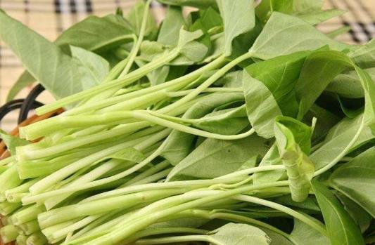 吃空心菜會影響鈣的吸收嗎?空心菜炒出來為什么會發(fā)黑?