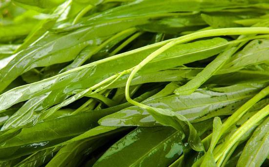 吃藥期間可以吃空心菜嗎?吃空心菜有哪些好處?