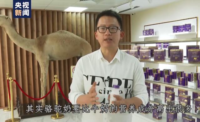 后疫情時代駝奶受寵,迪拜紫盒Camelicious純駝奶構筑強大抵抗力