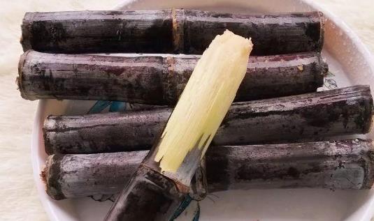 糖尿病患者可以吃甘蔗嗎?經(jīng)期可以吃甘蔗嗎?
