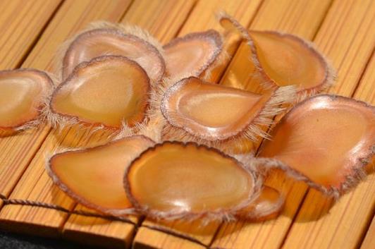 鹿茸和什么泡酒最好?鹿茸怎么吃效果最好?