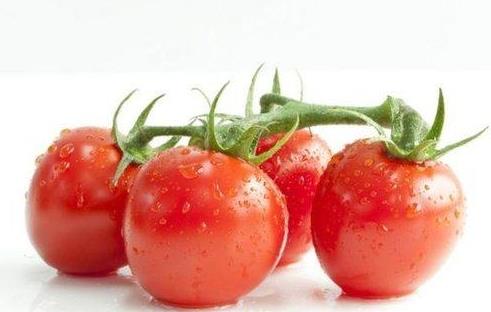 西紅柿是涼性的還是熱性的?西紅柿可以和菠菜一起吃嗎?