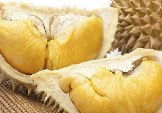榴蓮可以和牛奶一起吃嗎?榴蓮沒開口可以吃嗎?