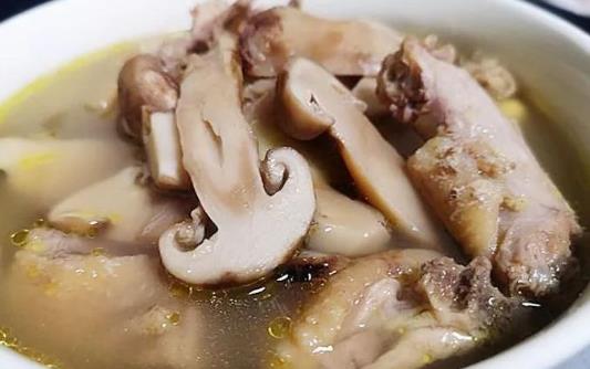 孕婦可以吃松茸燉雞嗎?哪些人不宜吃松茸燉雞?