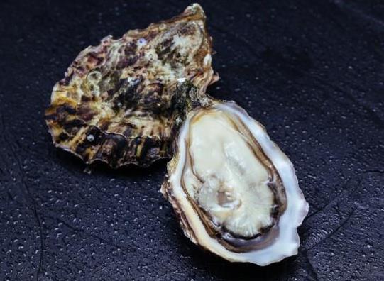 牡蠣與生蠔如何區(qū)別?海蠣子跟生蠔是一個品種嗎?