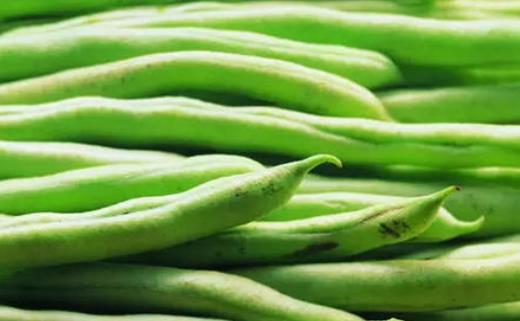 為什么會(huì)說吃豆角會(huì)中毒?吃豆角需要注意什么?