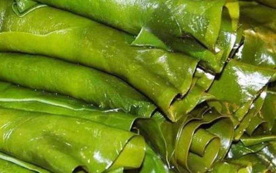海帶可以生吃嗎?吃海帶有哪些好處?