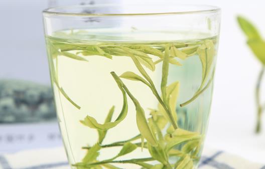 綠茶可以和什么搭配泡喝好 綠茶怎么泡好喝