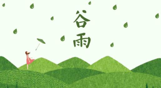 谷雨吃什么食物養(yǎng)生 谷雨節(jié)氣做什么