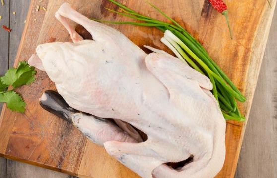 鴨肉屬不屬于發(fā)物?鴨肉不宜和什么一起吃?
