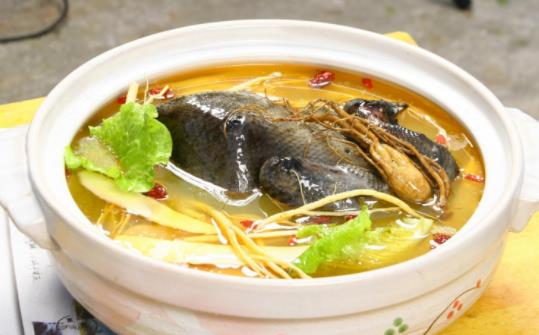 經(jīng)期可以喝烏雞湯嗎?吃烏雞有哪些好處?