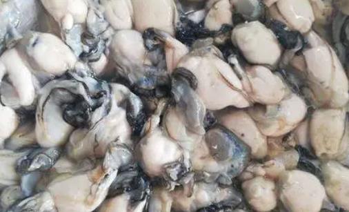 生蠔肉很腥是不是不新鮮 生蠔肉不白有點(diǎn)黃是什么原因