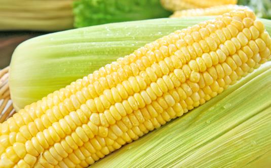 糯玉米減肥期間可以吃嗎 水果玉米和糯玉米的區(qū)別